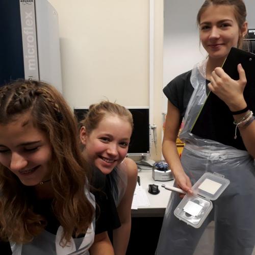 Bakteriologie