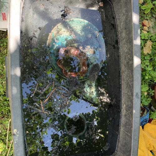 Wahlpflichtfach KERAMIK 