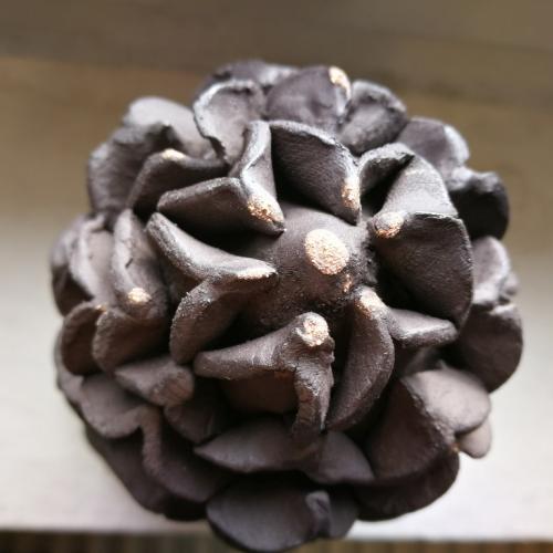 Schatzkiste der Erde