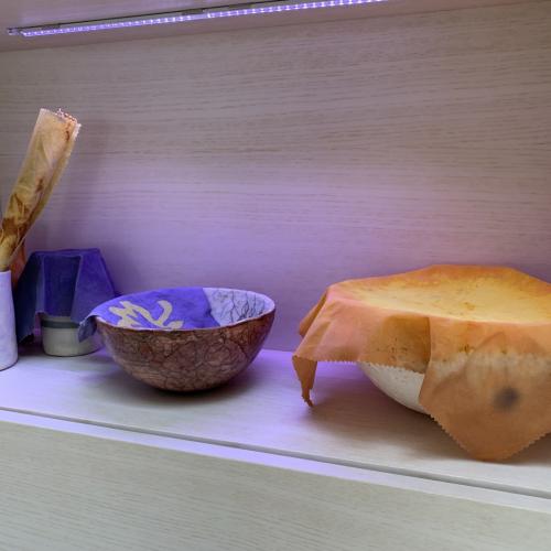 Roots & Shoot Zertifikat vom Jane Goodall Institut