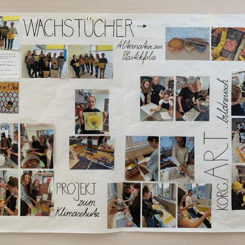 Roots & Shoot Zertifikat vom Jane Goodall Institut