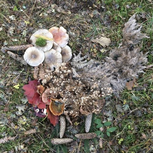 Land-Art