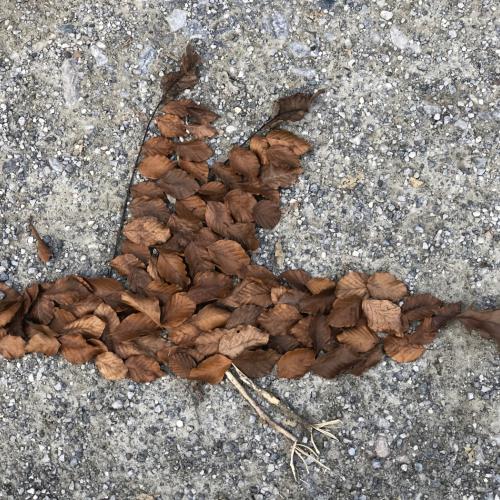 Land-Art
