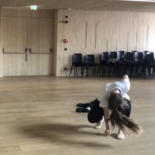 Schwerpunktfach Instrumentalmusik Tanz