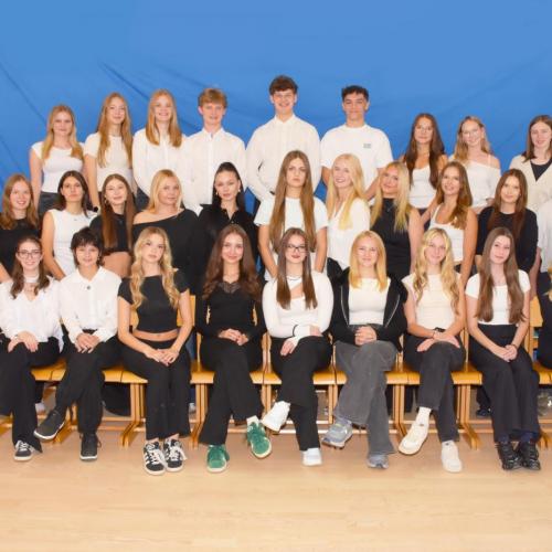 Klassenfoto 8c