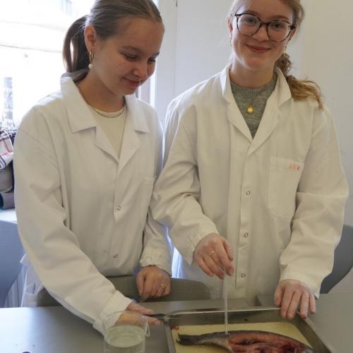 Tag der offenen Tür