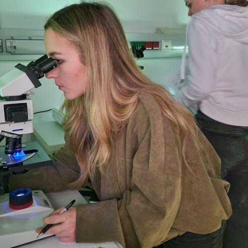 Schwerpunkttag KORG.med