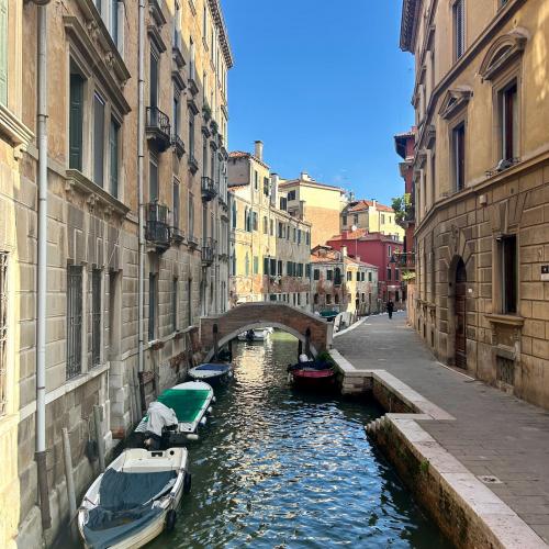 83. Internationalen Filmfestspiele in Venedig